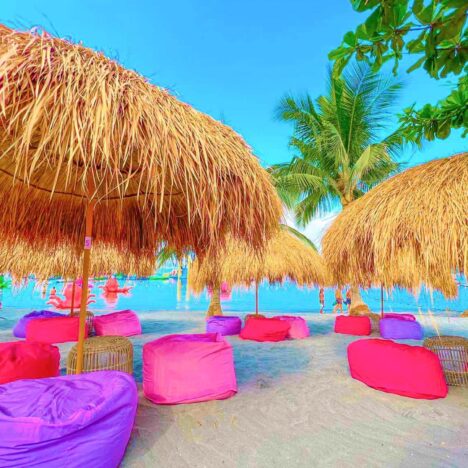 TANAY DAY TOUR BA KAMO? ARAT NA!